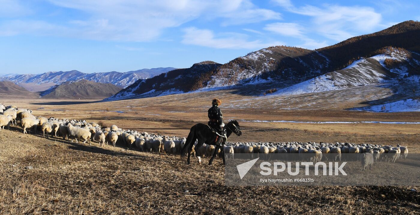 Russia Agriculture Breeding