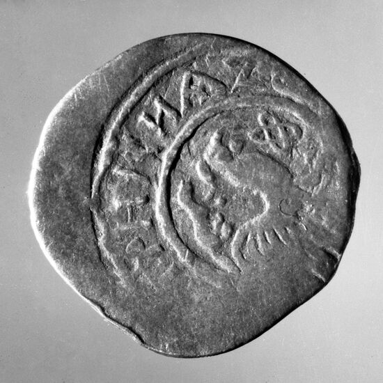 Coins of Dmitry Donskoi with rooster image