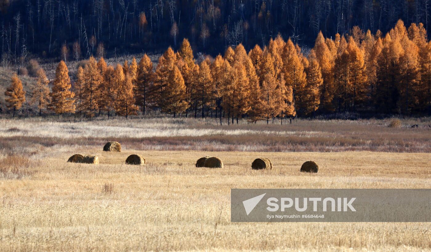 Russia Tourism