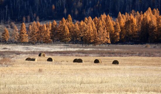 Russia Tourism