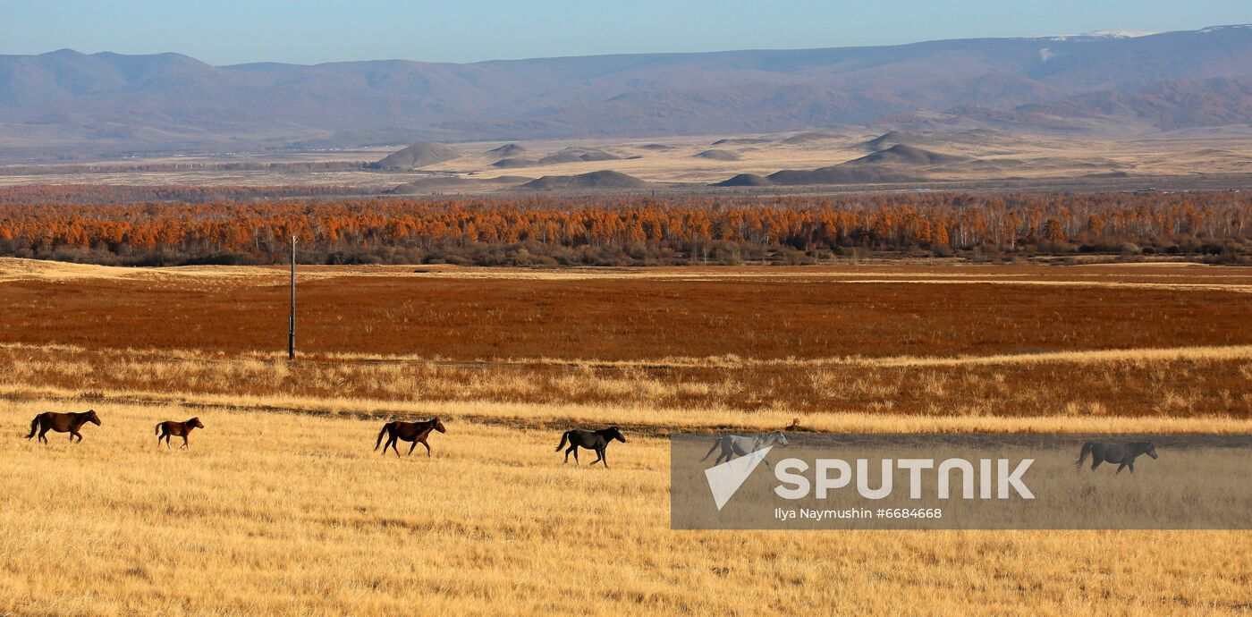 Russia Tourism