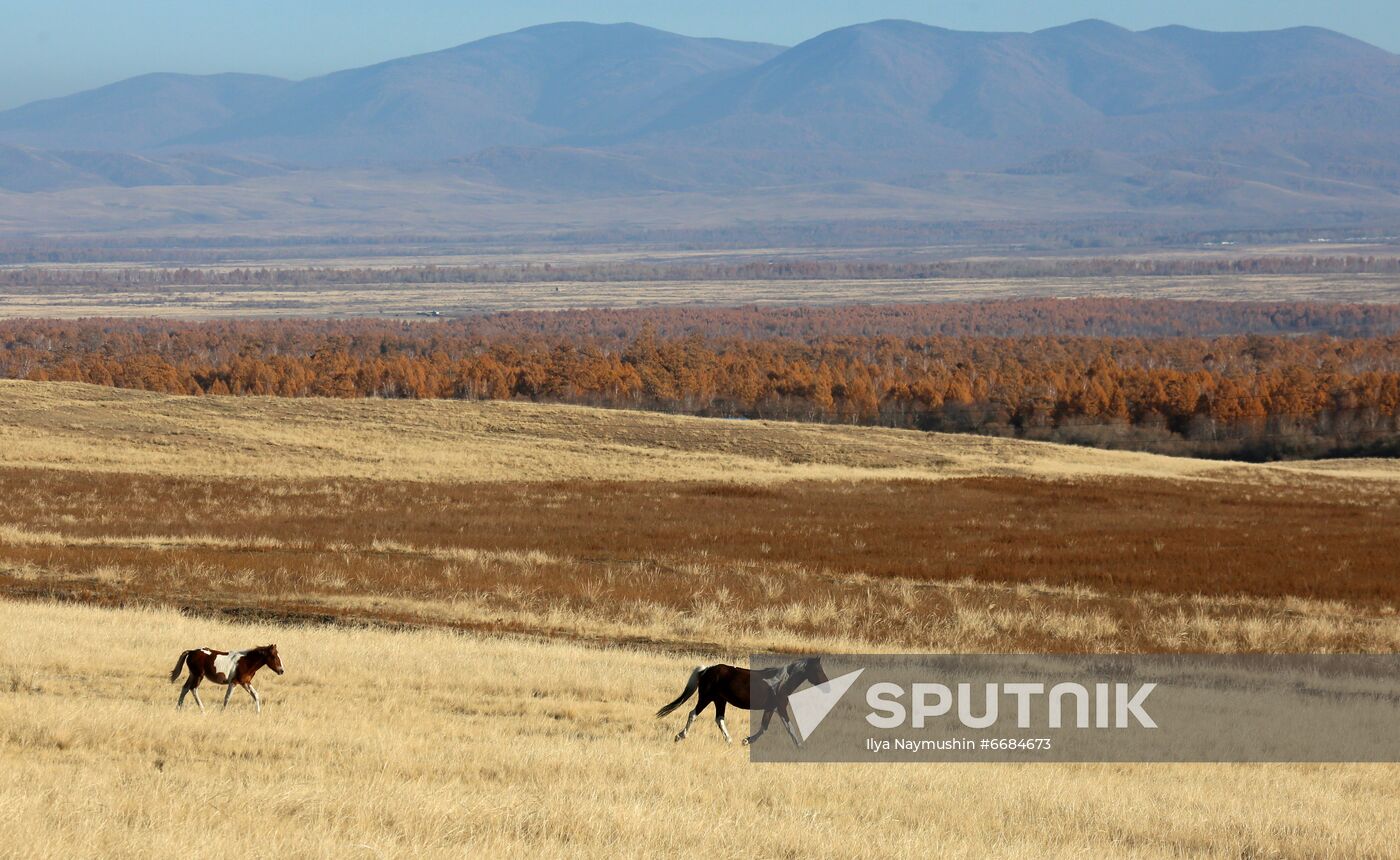 Russia Tourism