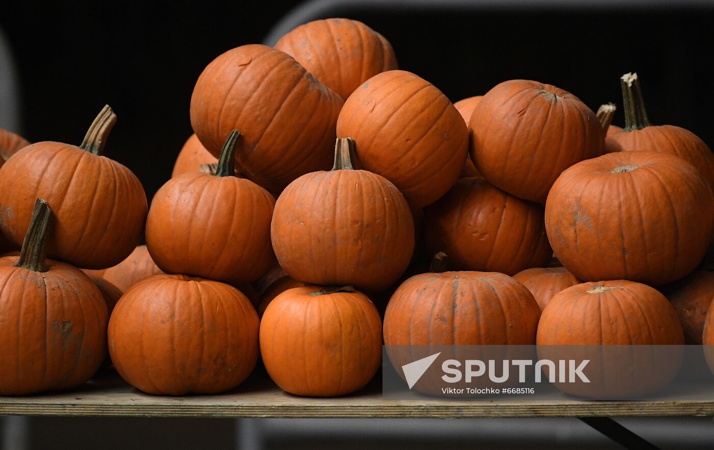 Belarus Halloween