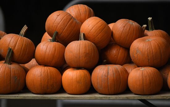 Belarus Halloween