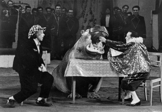 Moscow Circus