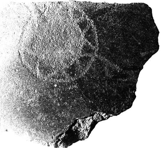 Onega petroglyphs