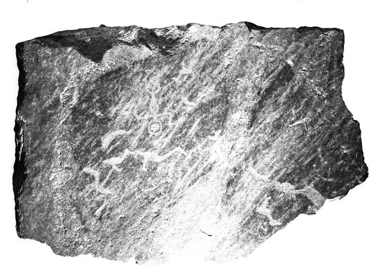 Onega petroglyphs