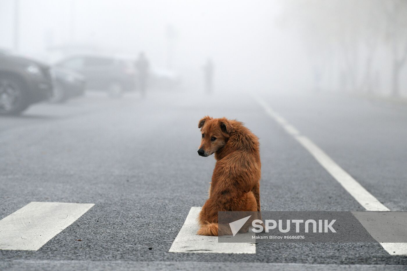 Russia Weather 