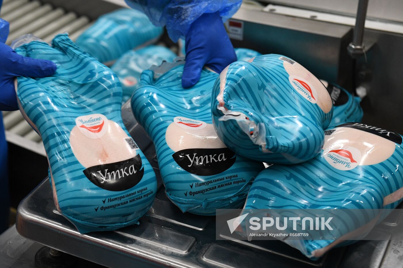 Russia Agriculture Poultry