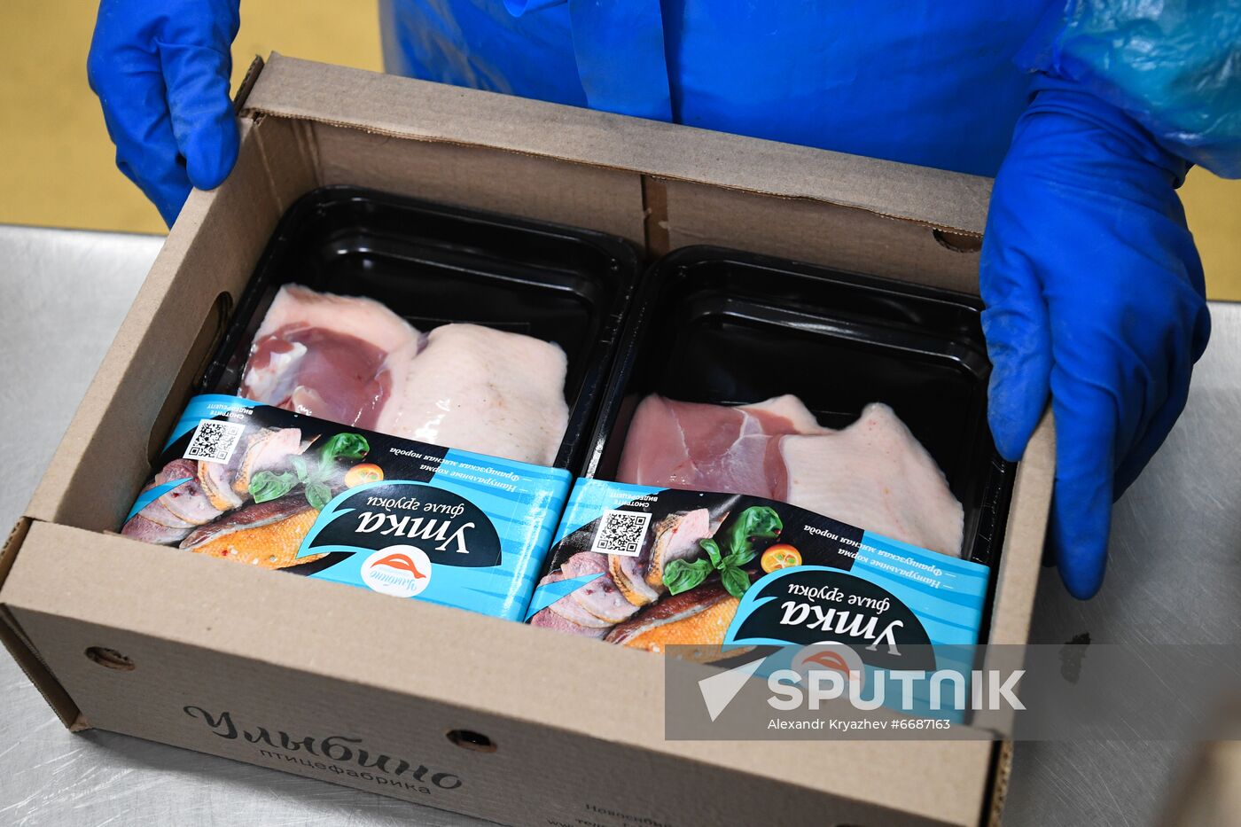 Russia Agriculture Poultry