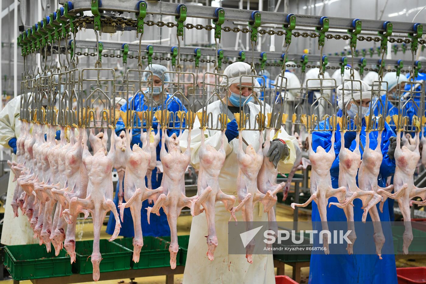 Russia Agriculture Poultry