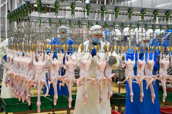 Russia Agriculture Poultry