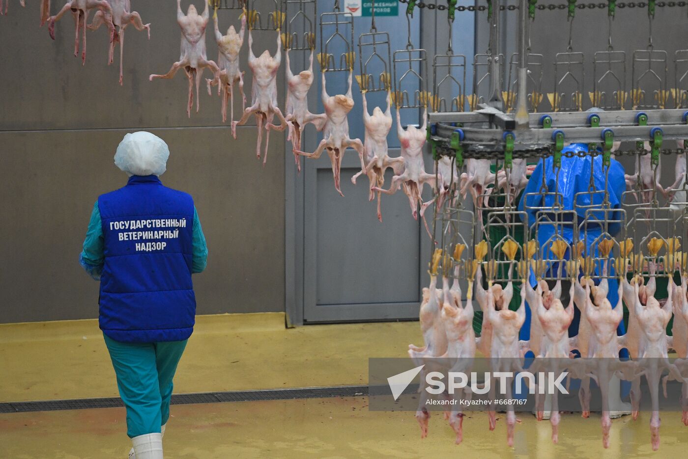 Russia Agriculture Poultry