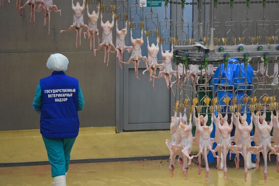 Russia Agriculture Poultry
