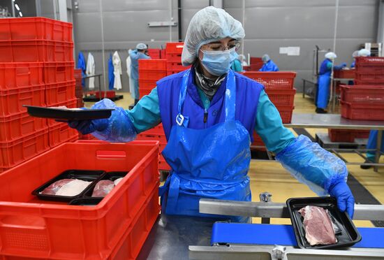 Russia Agriculture Poultry