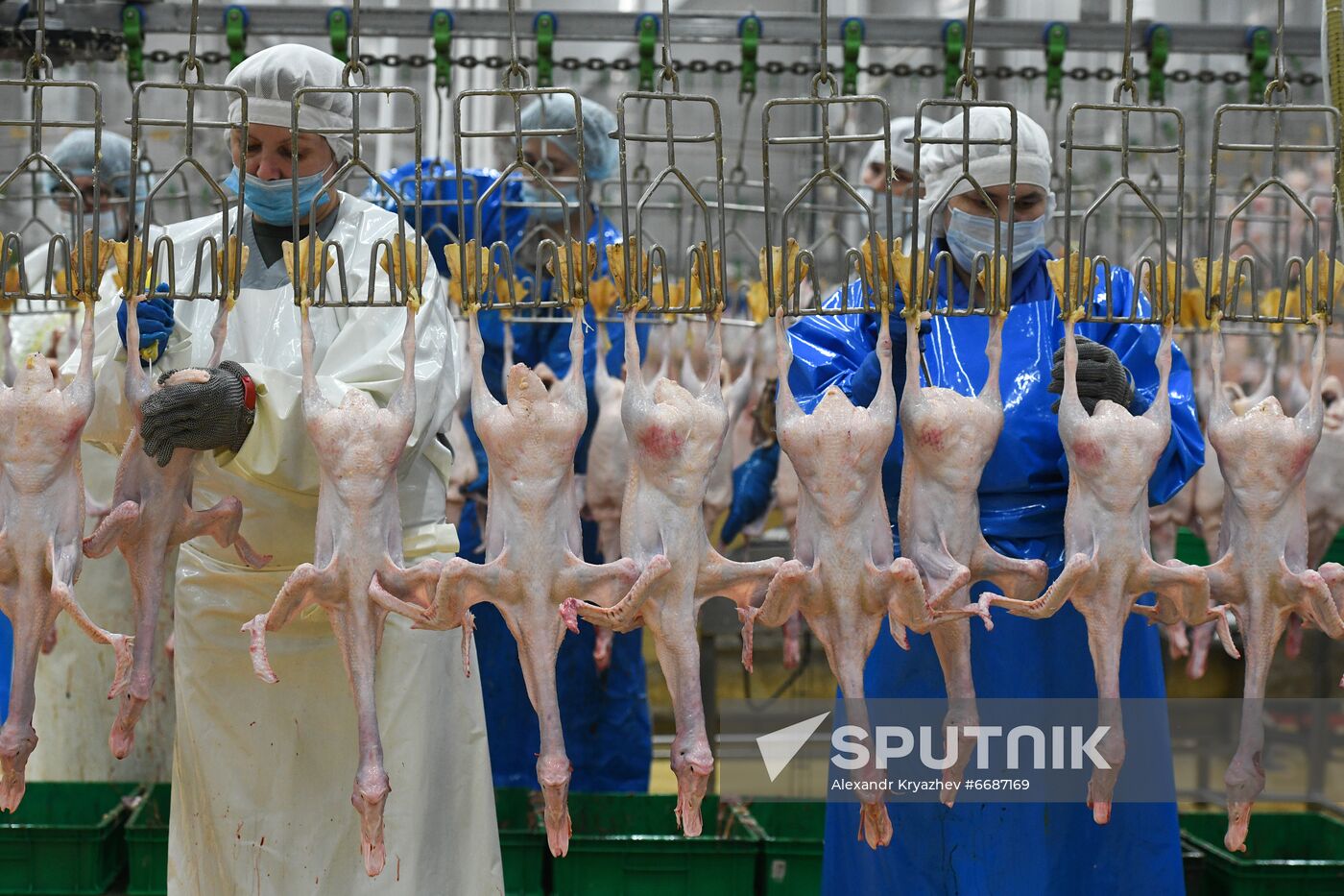 Russia Agriculture Poultry
