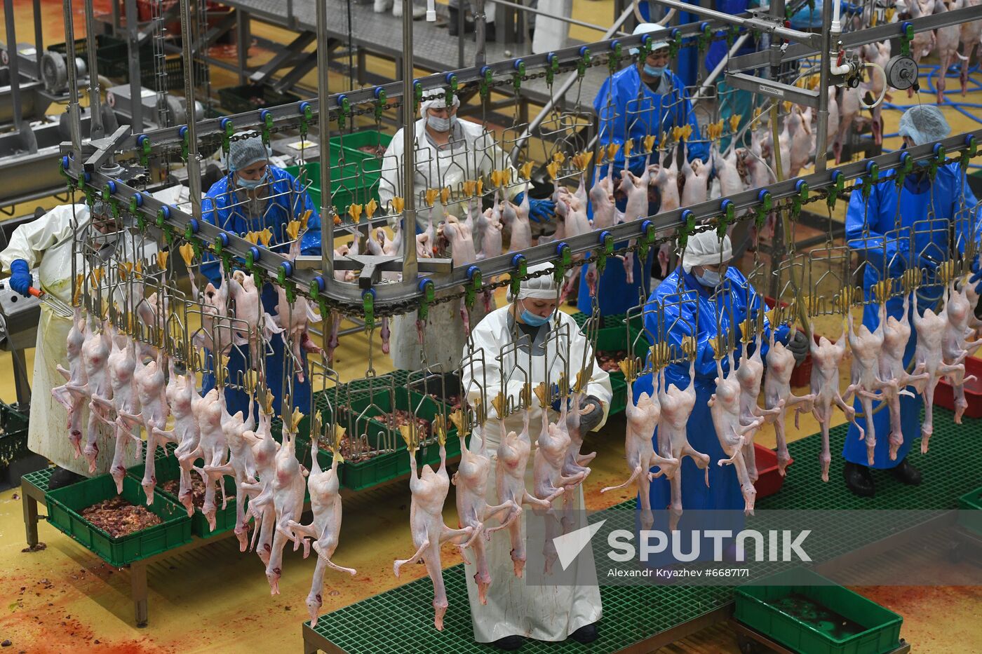 Russia Agriculture Poultry