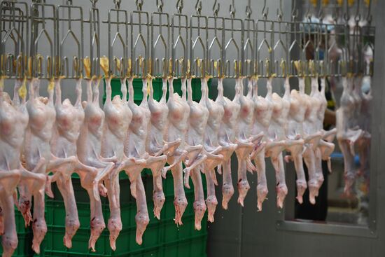 Russia Agriculture Poultry