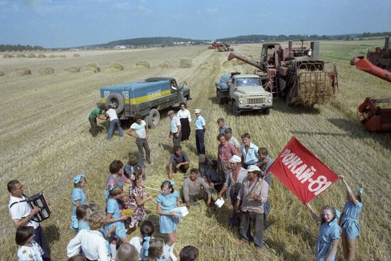 Borets Collective Farm in Moscow Region