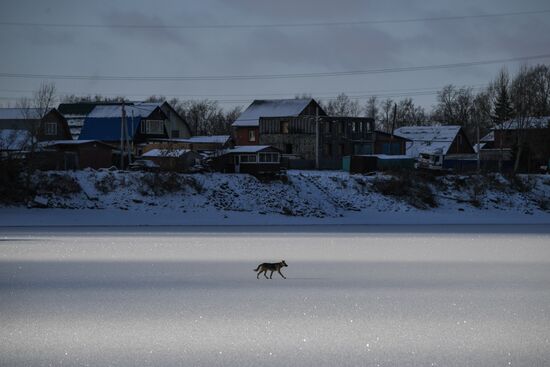 Russia Weather