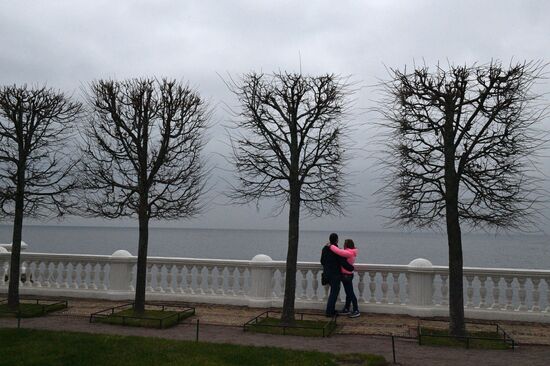 Peterhof introduces QR codes system
