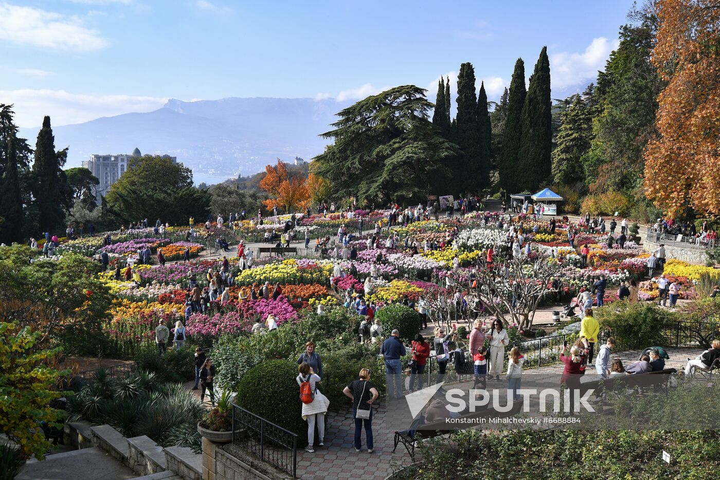 Russia Crimea Flowers