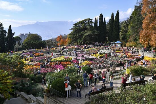 Russia Crimea Flowers