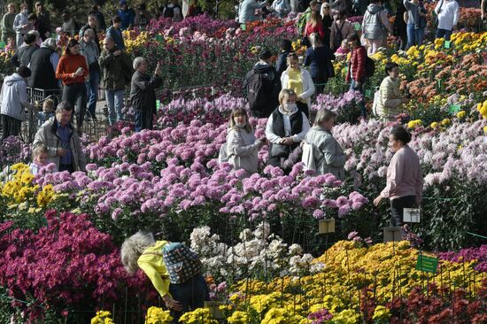 Russia Crimea Flowers