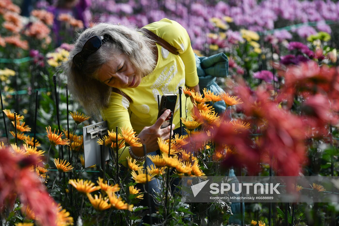 Russia Crimea Flowers