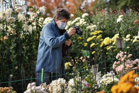 Russia Crimea Flowers