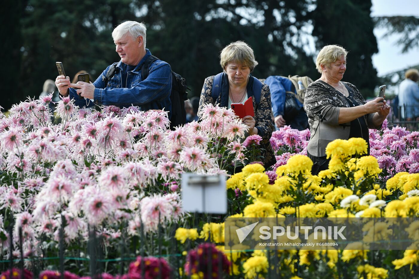 Russia Crimea Flowers