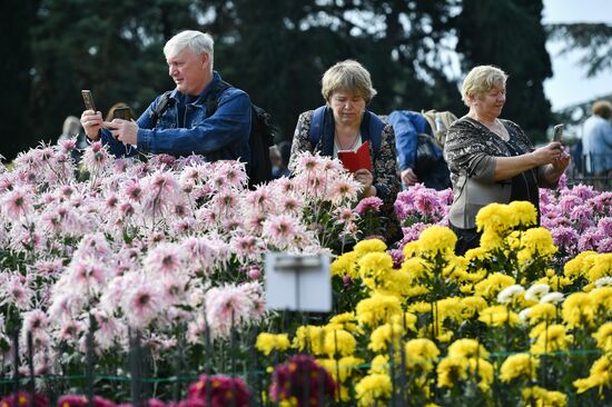 Russia Crimea Flowers