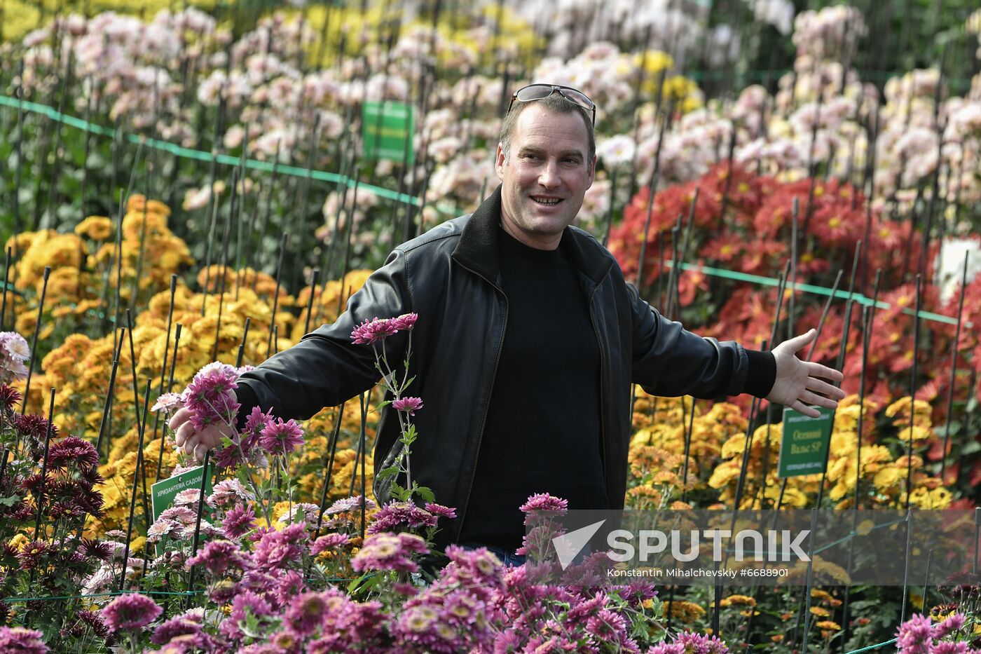 Russia Crimea Flowers