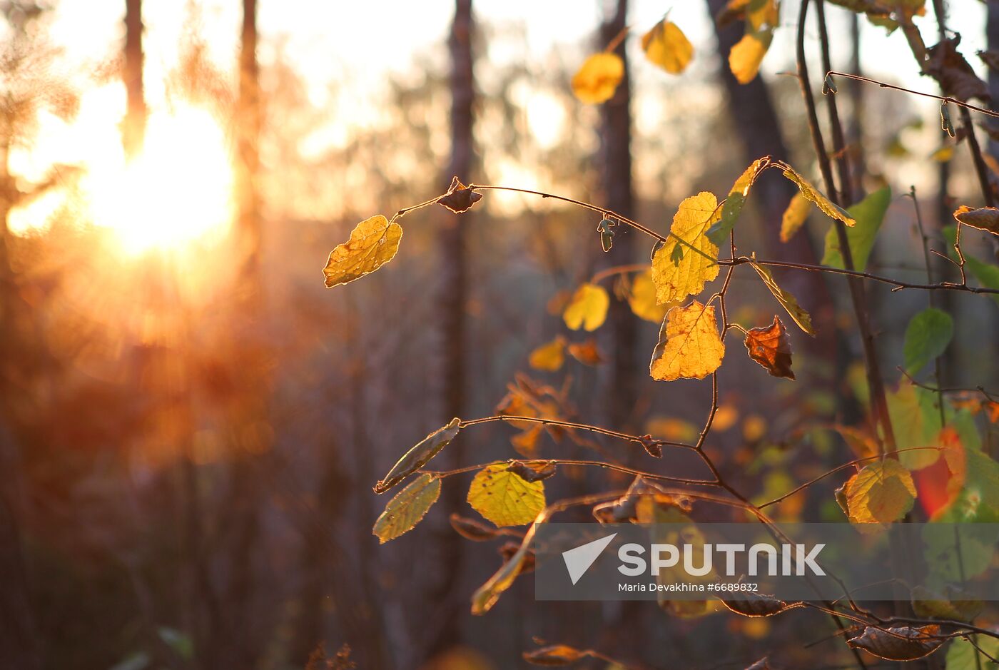 Fall in Moscow Region