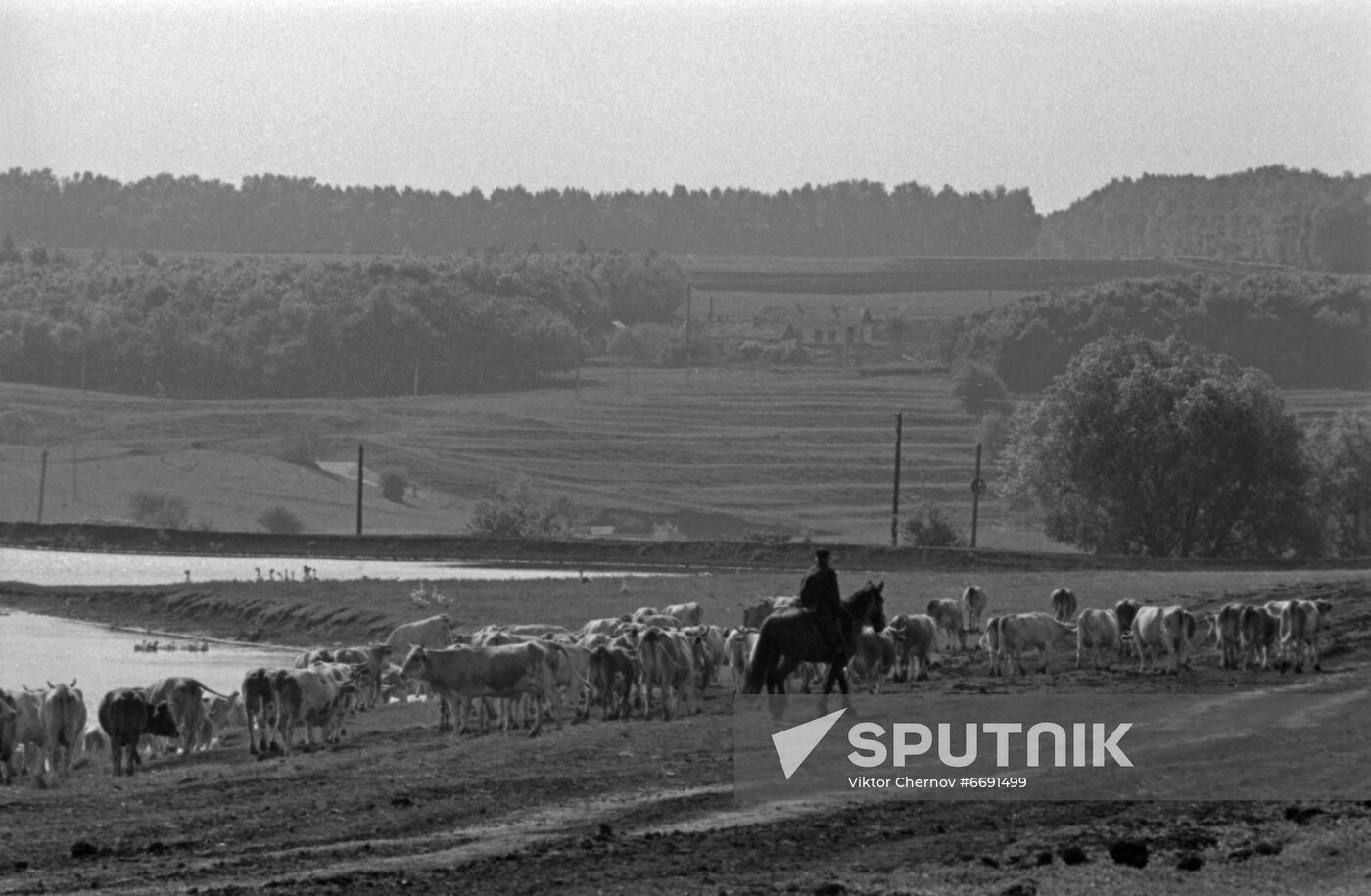 Dokuchayev Institute of Agriculture of Central Black Earth Belt