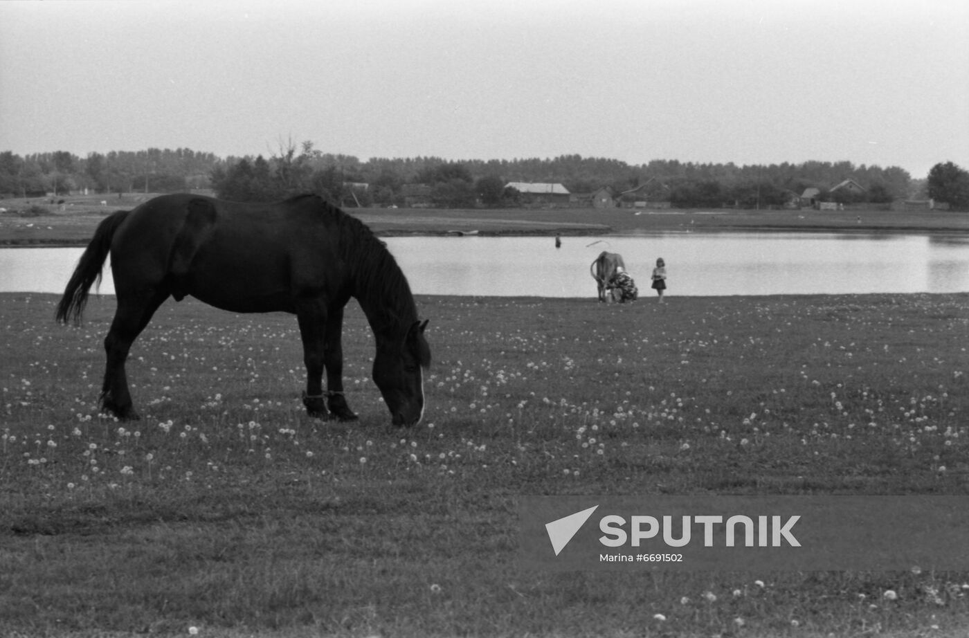 Dokuchayev Institute of Agriculture of Central Black Earth Belt