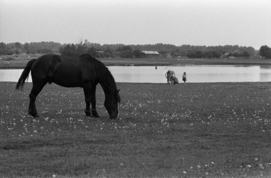Dokuchayev Institute of Agriculture of Central Black Earth Belt