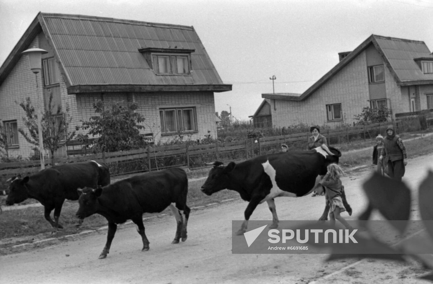 Ukraina collective farm