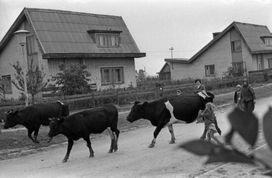 Ukraina collective farm