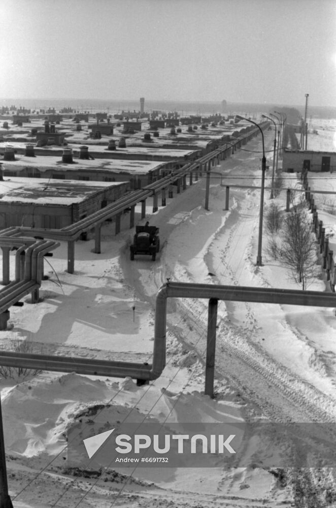 Sosnovoborsky pig-breeding facility in Tatarstan