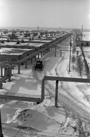 Sosnovoborsky pig-breeding facility in Tatarstan
