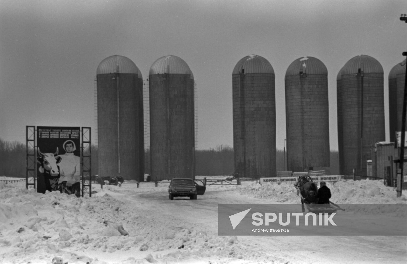 Gigant State Farm in Tatarstan