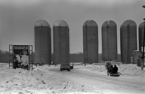 Gigant State Farm in Tatarstan