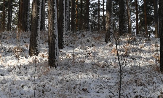 Russia Siberia Tourism