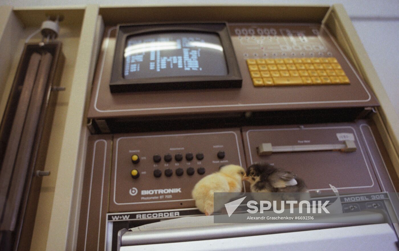 National Research and Technological Institute of Poultry