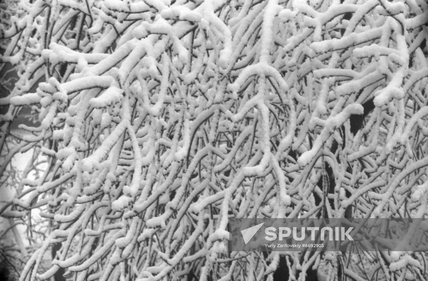 April snowfall in Moscow