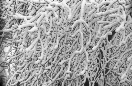 April snowfall in Moscow