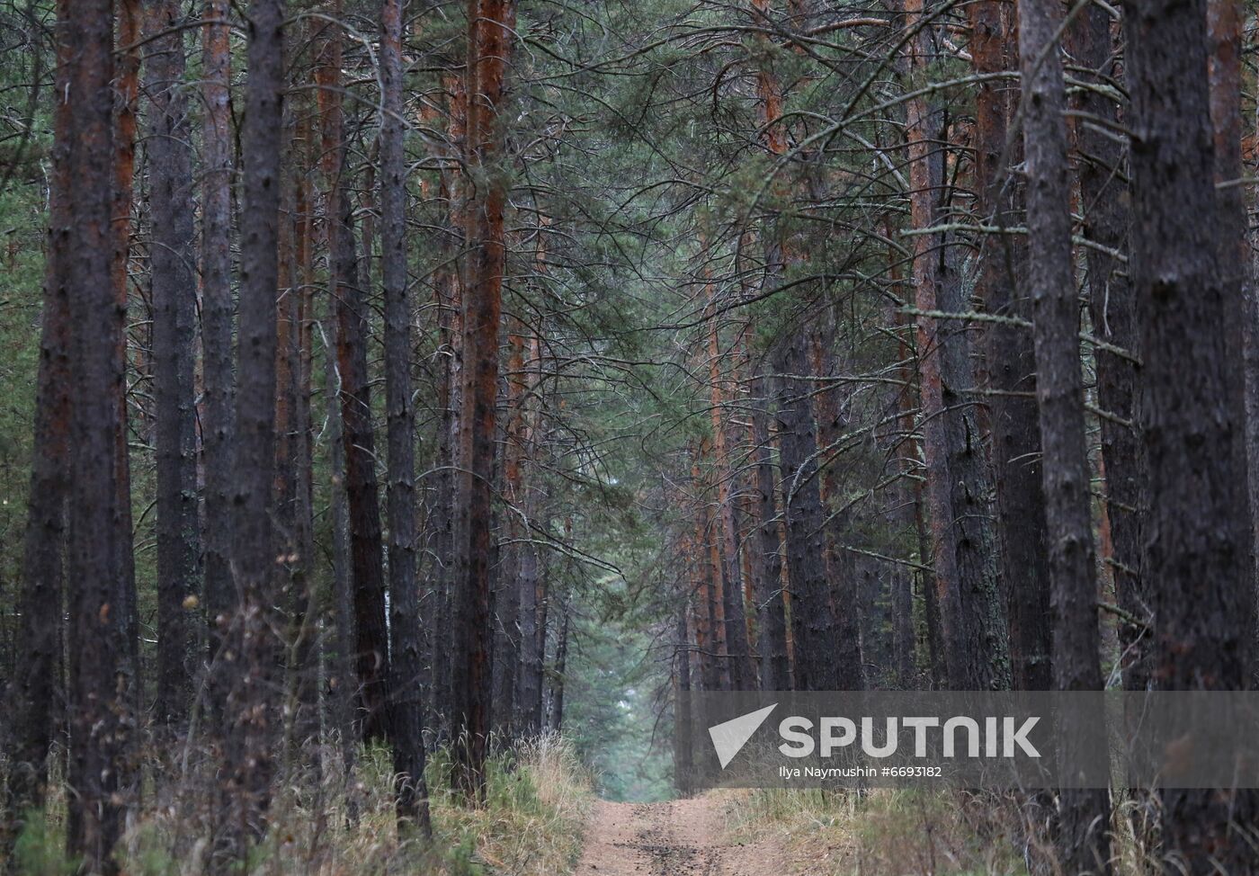 Russia Siberia Tourism