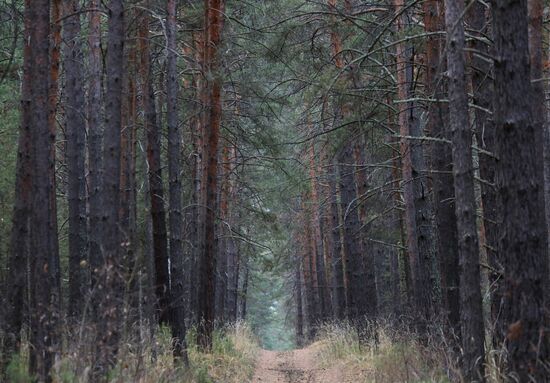Russia Siberia Tourism