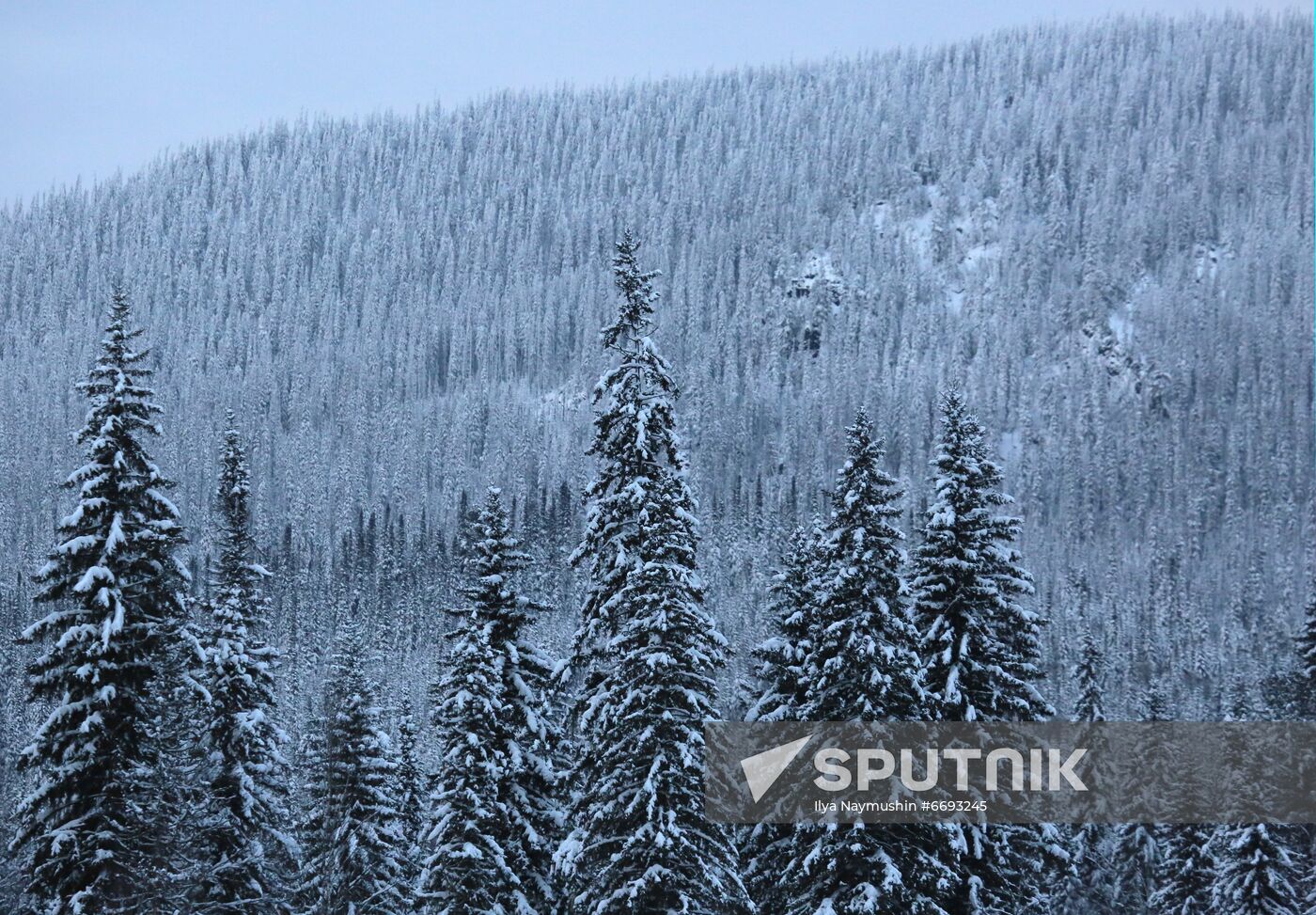 Russia Siberia Tourism